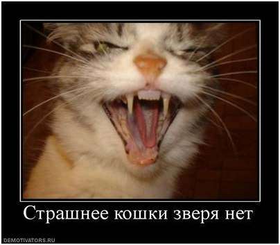 страшный страшный