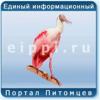 большинстве случаев большинстве случаев
