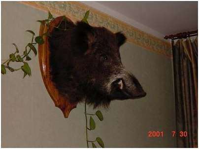 раза больше