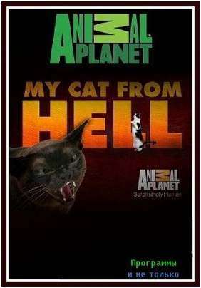 hell hell