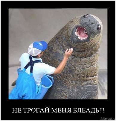 трогать трогать