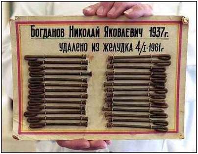богомол богомол