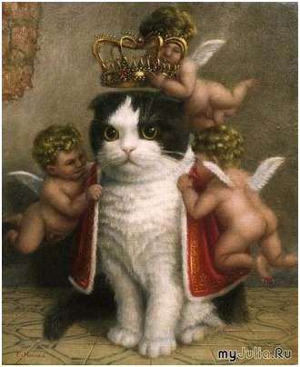 кошка кошка