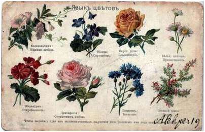 цвет цвет