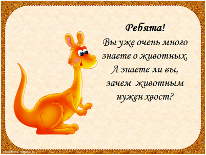 язык язык