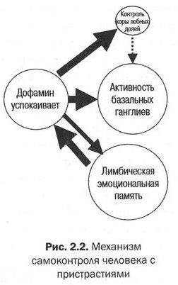 самоконтроль самоконтроль
