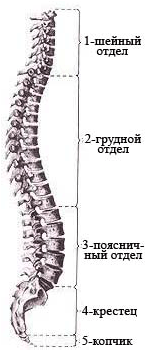 диск