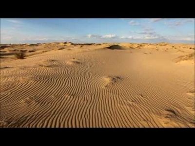 Олешковской Сечи Олешковской Сечи