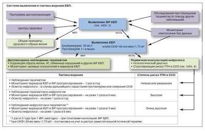 Направления к нефрологам позволяют выявлять многих пациентов с низким риском прогрессирования