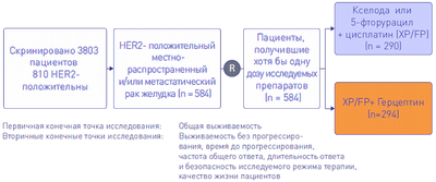 Исследование показало, что герцептин продлевает жизнь пациентам с неизлечимым раком желудка