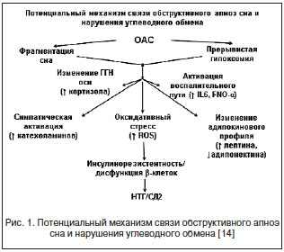 Постоянный сон в раннем взрослом возрасте может снизить риск диабета