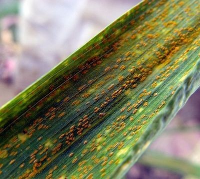 прекращение