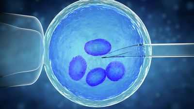 Несмотря на мутации в вирусе макона Эбола, болезнь сохраняется у мышей и обезьян