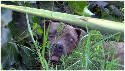 необходимо было необходимо было