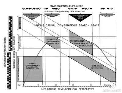 Новые генетические данные свидетельствуют о континууме неврологических и психических расстройств
